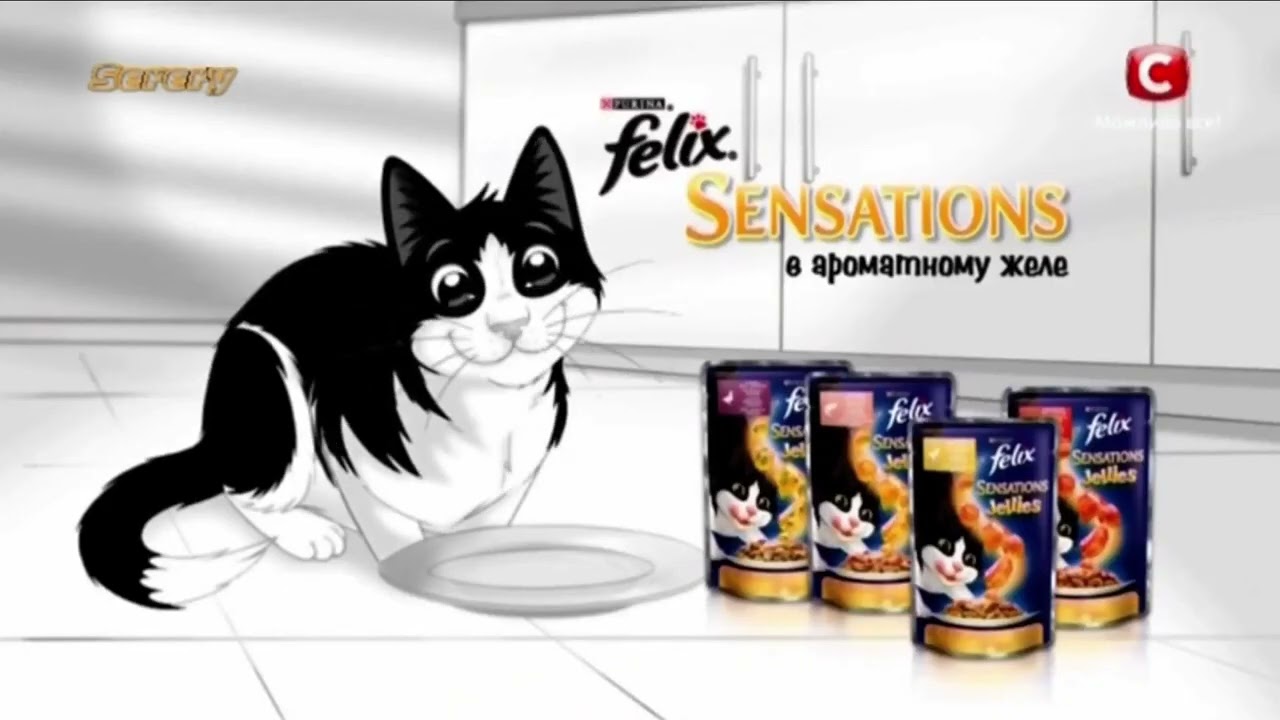 Purina Logo Russia-Ukraine history 2011-2023