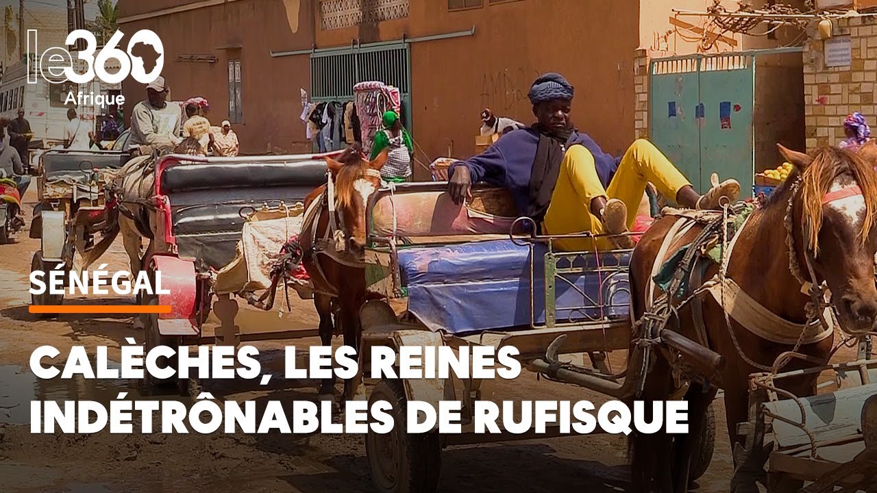 Pas chères, pratiques, populaires... que serait Rufisque sans ses calèches ?