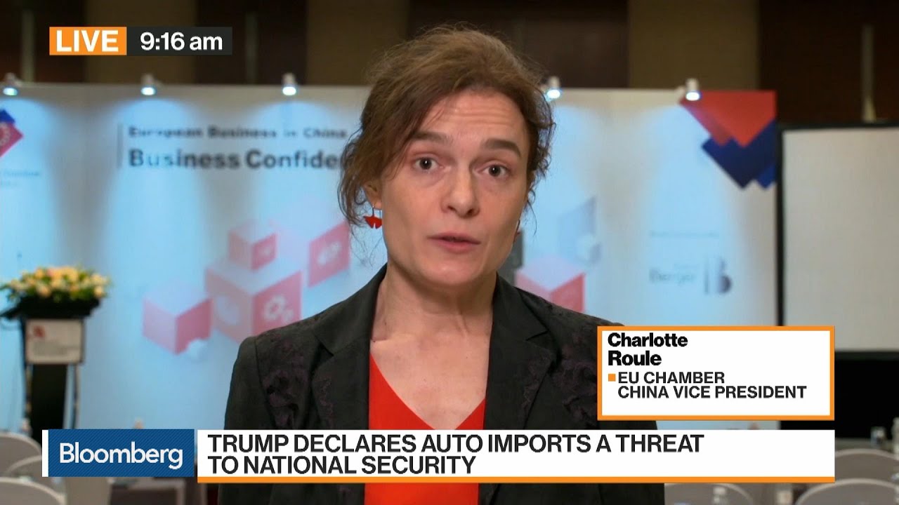 Trade Tensions Are Here to Stay, Says EU Chamber of Commerce&rsquo;s Roule