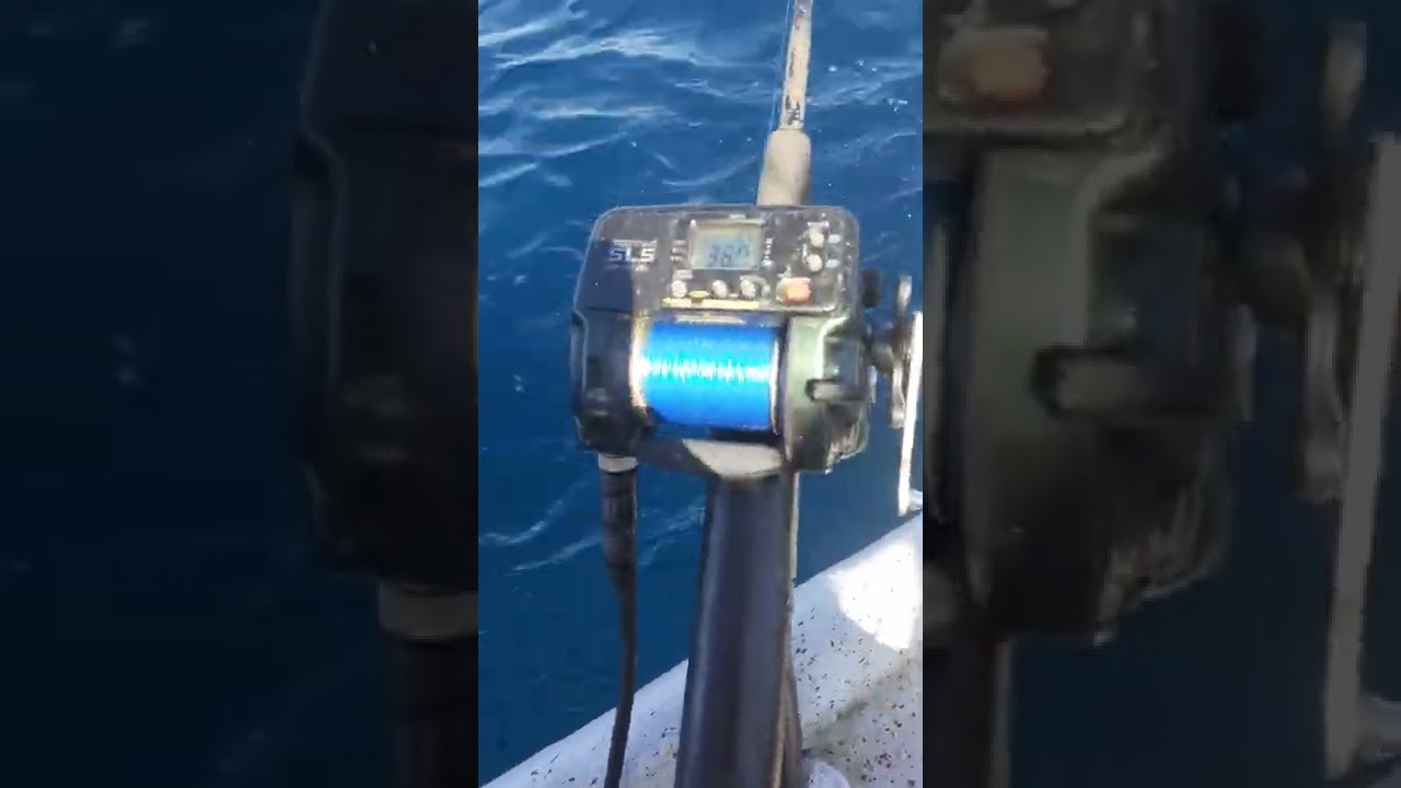 @tour_pesca_chiriqui5470 pesca de pargo y cherna  con carretes electricos shimano