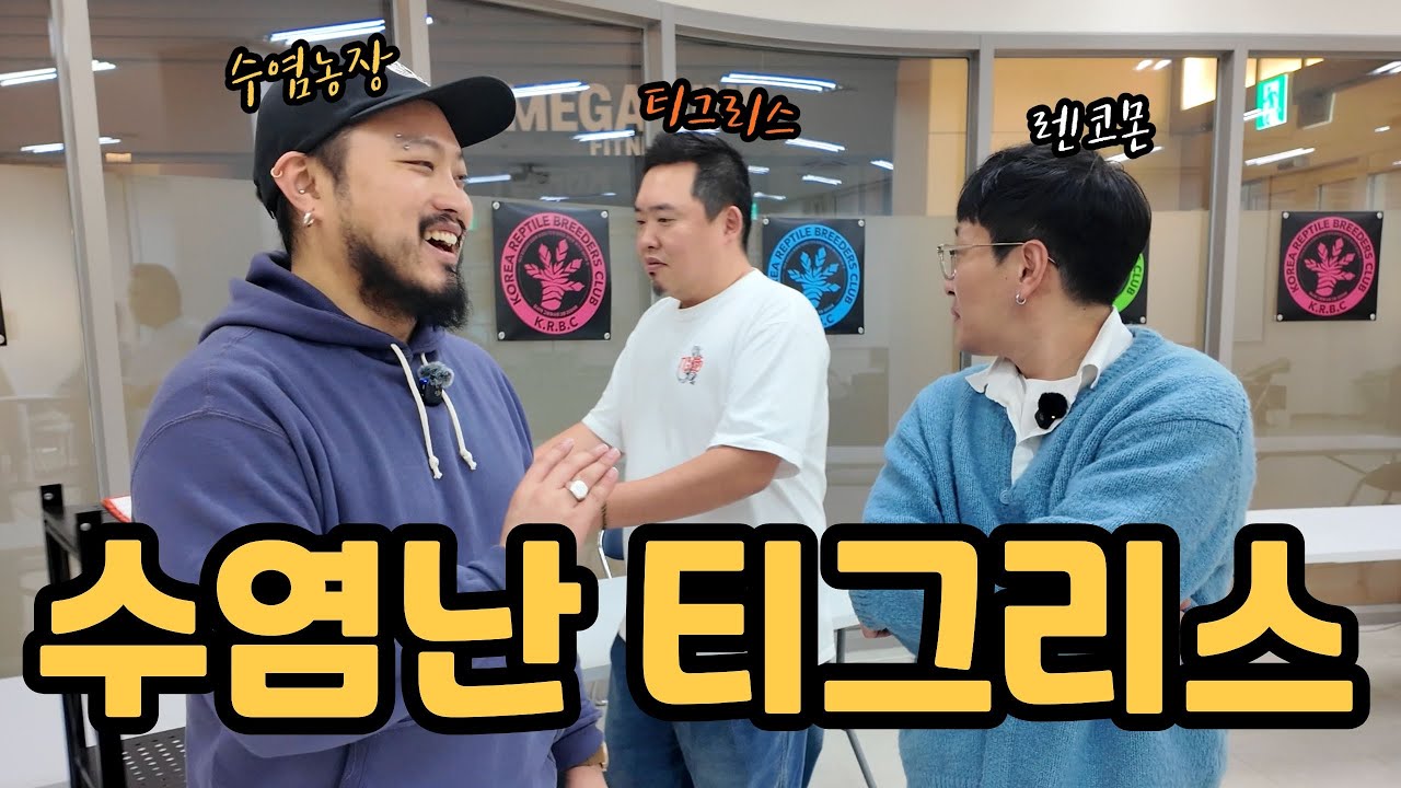 수염난티그리스와 함께 크리스마스 보내기