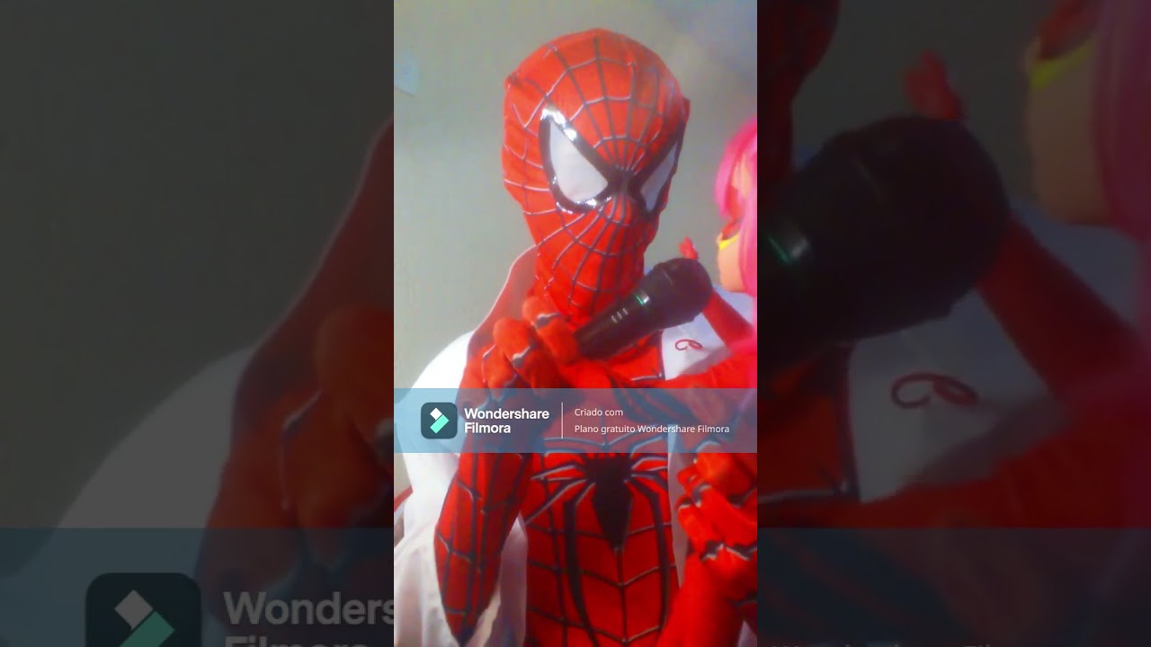 SPIDERMAN E MIRACULOUS MÚSICA