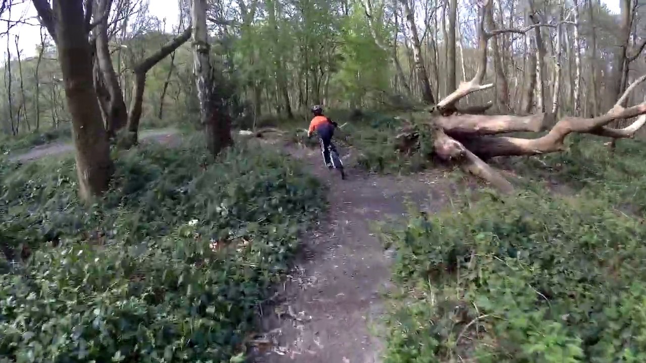 Best MTB trails Bestwood