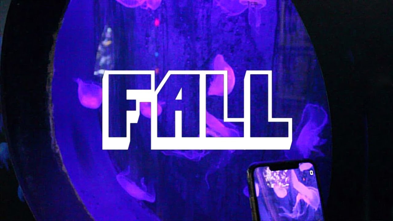 Catch-Up | FALL 2019