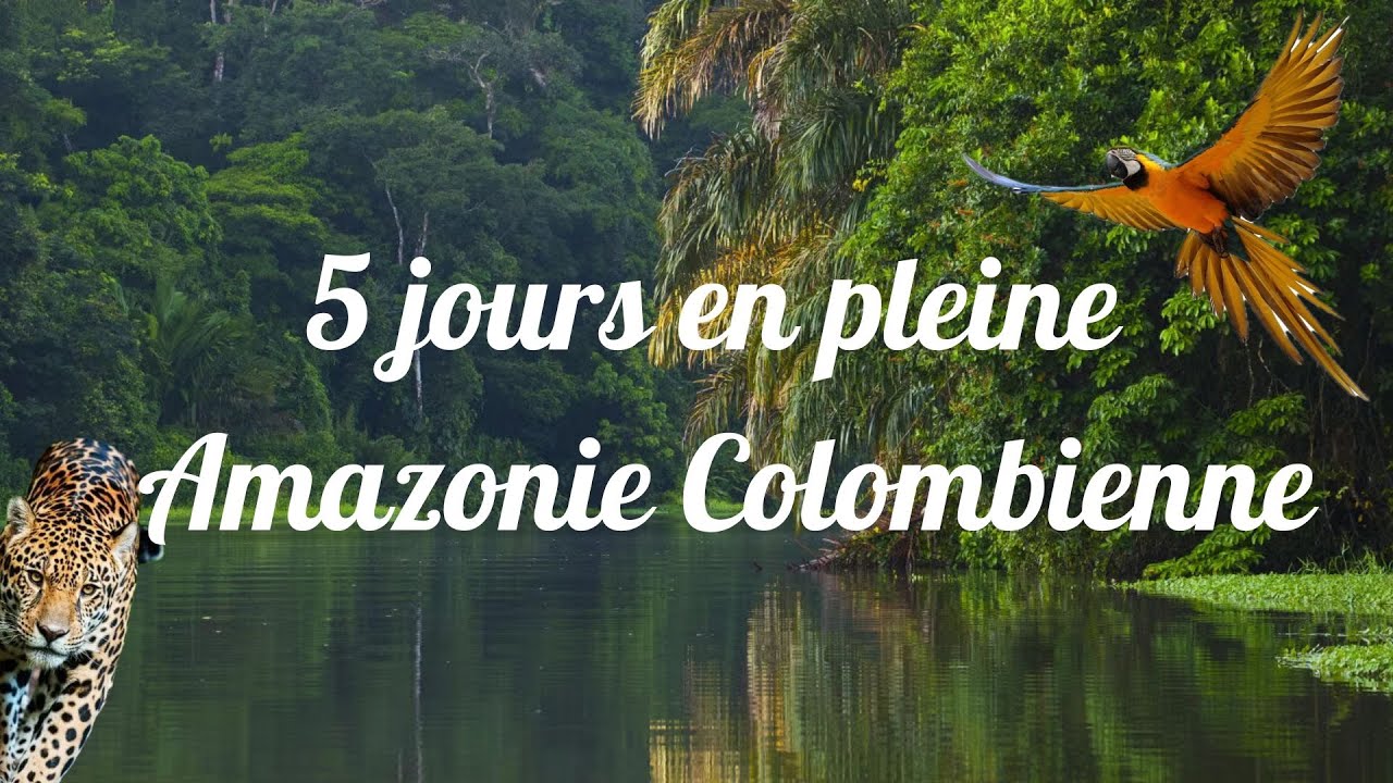 Mon expérience en Amazonie Colombienne