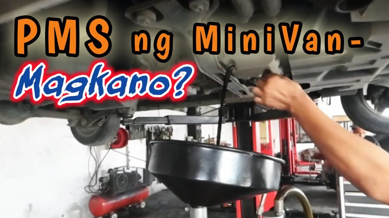 PMS NG MINIVAN | CaraMelo's Journey | SNY Woodworks