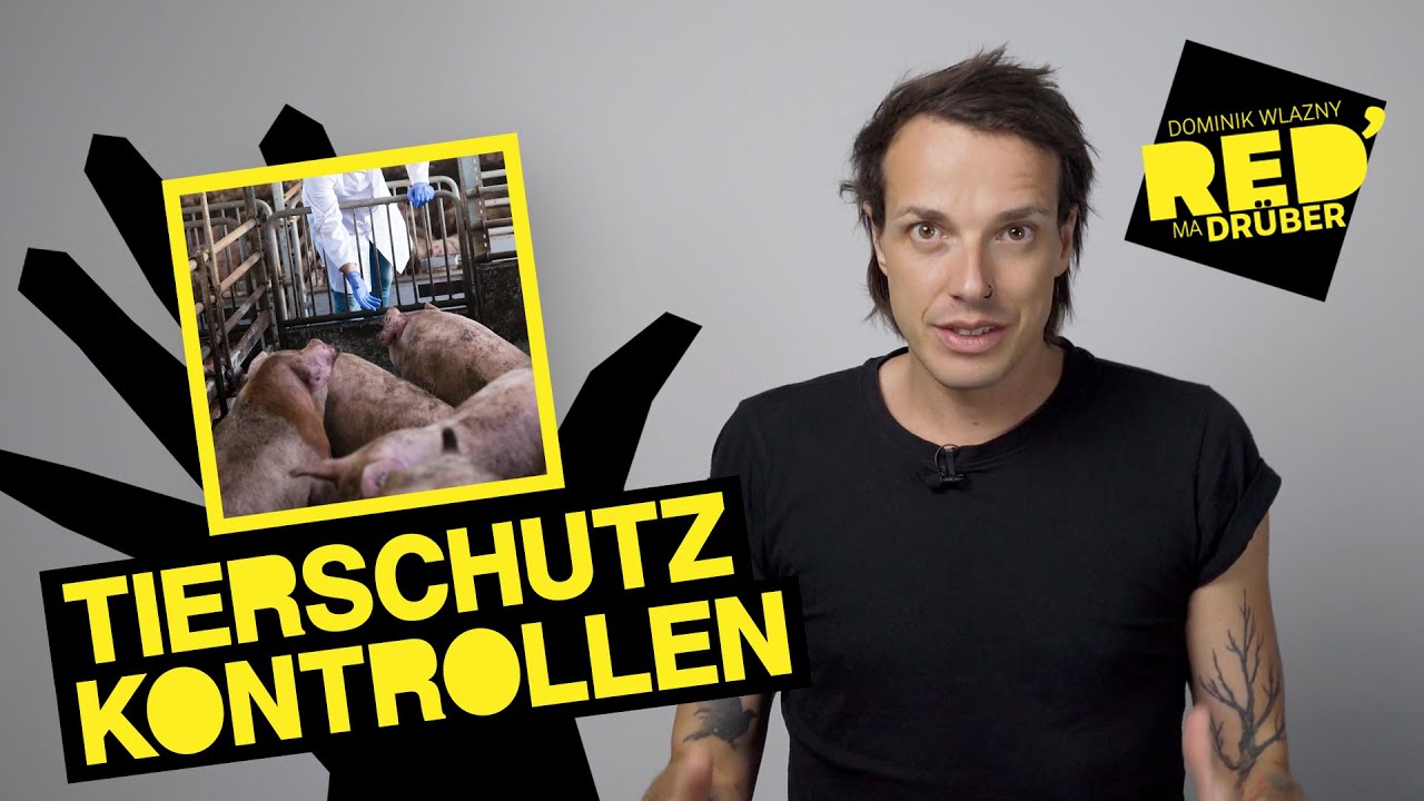 Die Tierschutzkontrollen gehören genauer kontrolliert | Red' ma drüber