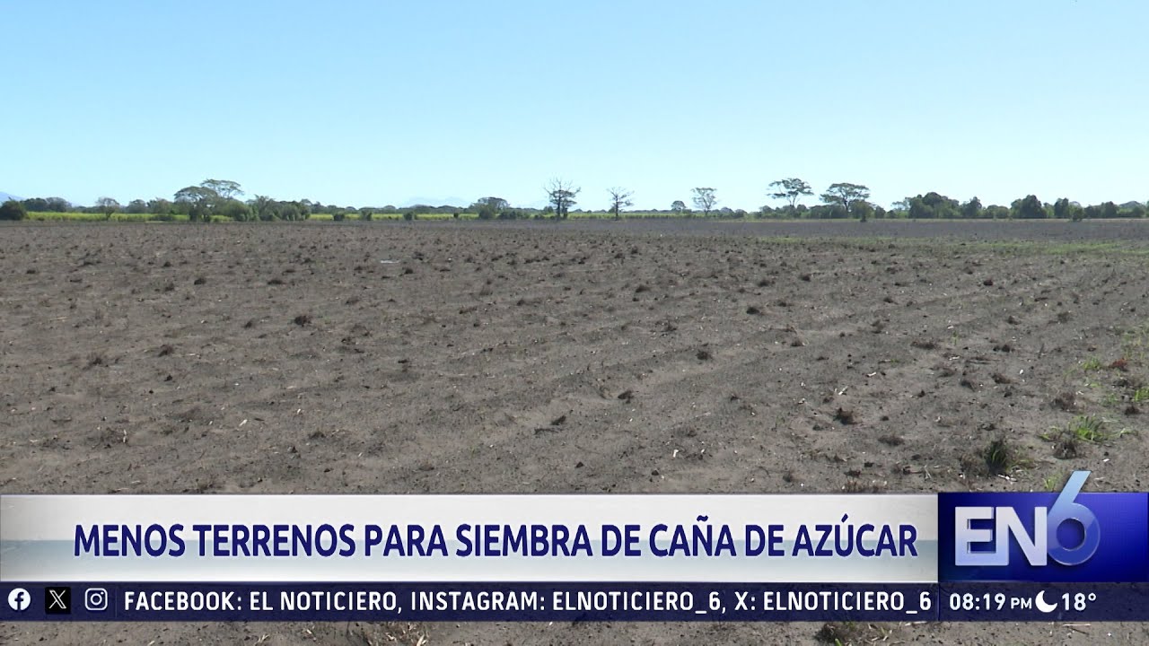 MENOS ÁREA DE SIEMBRA PARA CAÑA