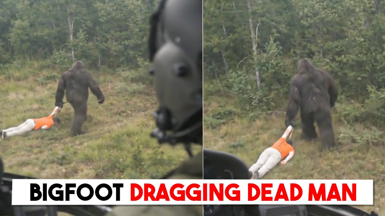 Helicopter Pilot Films Bigfoot Dragging a Human Body | Sasquatch Story