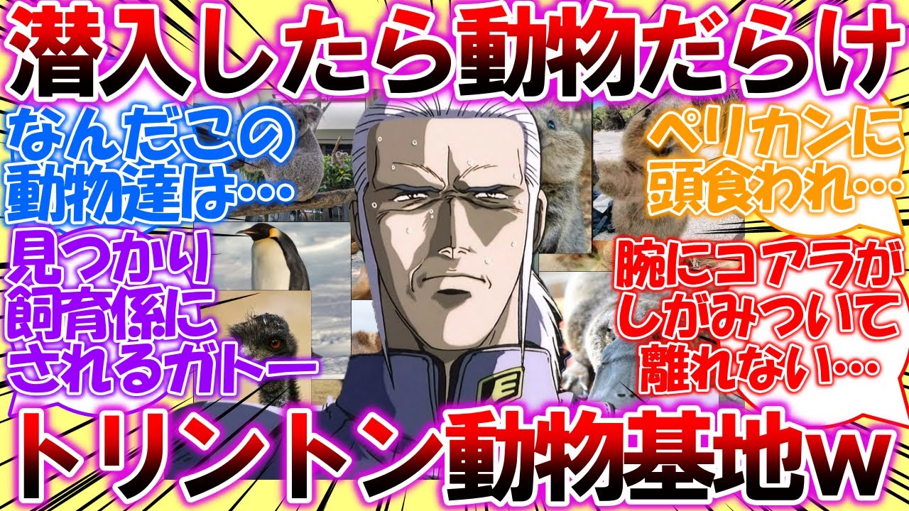 【IF】ガトー「なんだ&hellip;ここは&hellip;」潜入成功したトリントン基地は動物だらけのトリントン【動物】基地だった！についての反応集【0083スターダストメモリー】