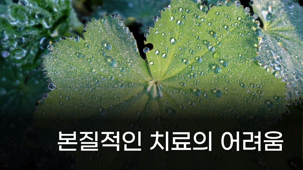 본질적인 치료를 하기 어려운 3가지 이유