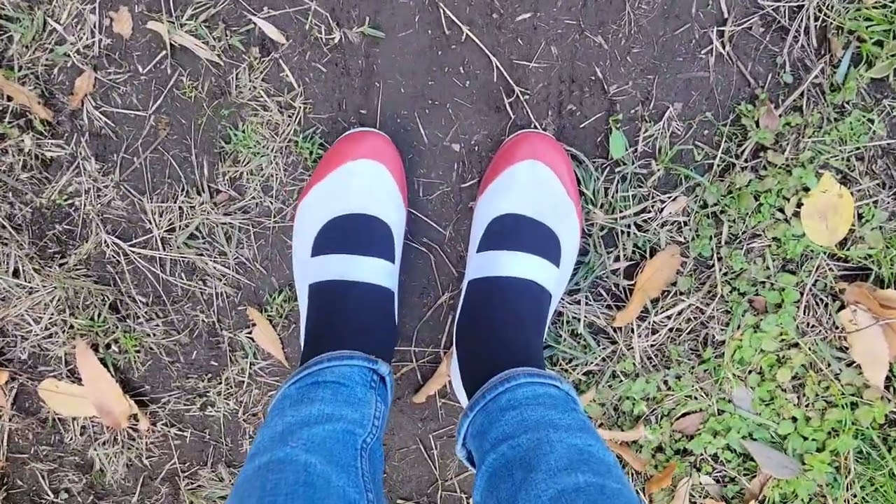 ただの散歩【上履き】