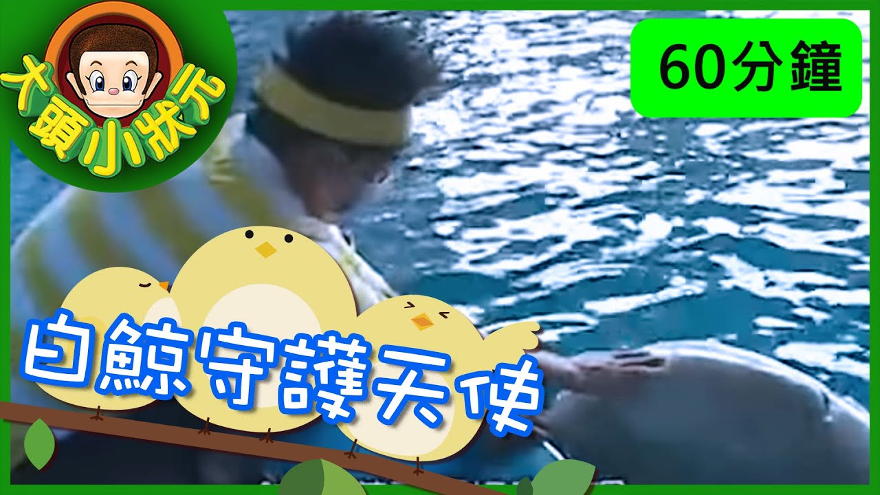 【大頭小狀元】白鯨守護天使&木工童玩 YOYO 一小時版