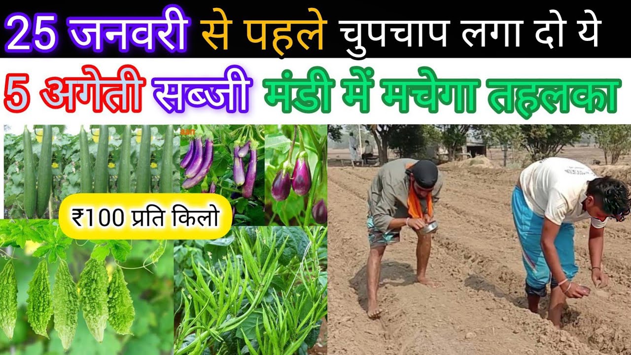 जनवरी की ये 5 अगेती सब्जियां आपको बना देंगी मालामाल - बंपर कमाई का मौका!Top 5 Vegetables for January