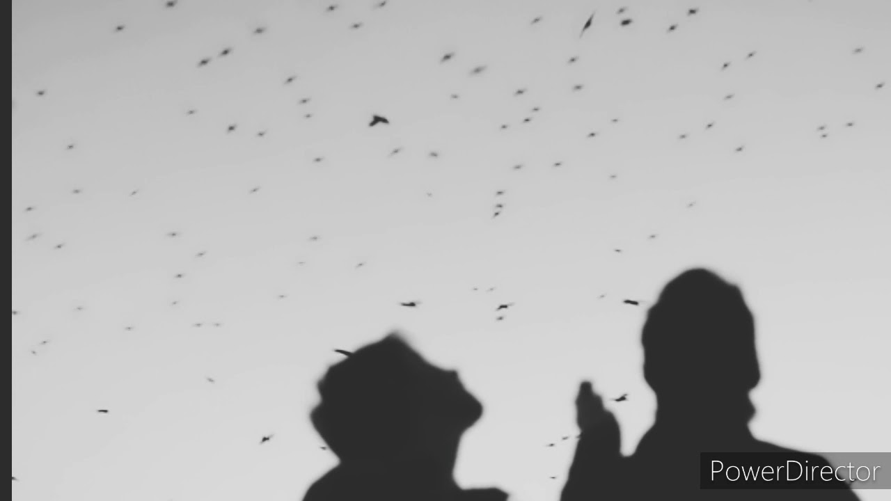 stubborn love - the lumineers (slowed + reverb)