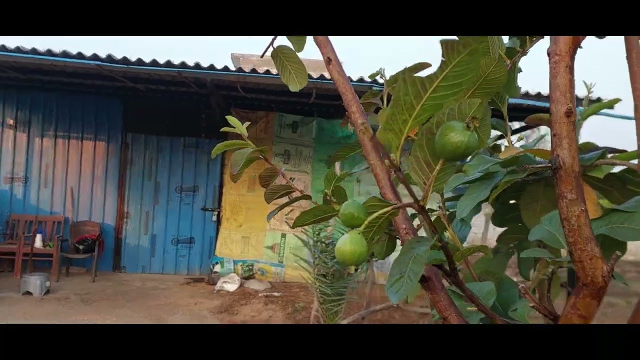 Life in Punjab // Farm Tour // Garden Tour // Garden Update