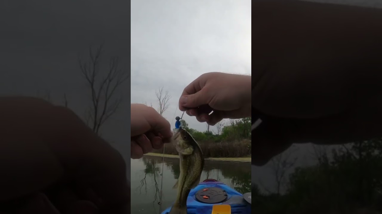 Caught a small bass on the kayak #ultralightfishing #fishing #vibekayaks #bassfishing