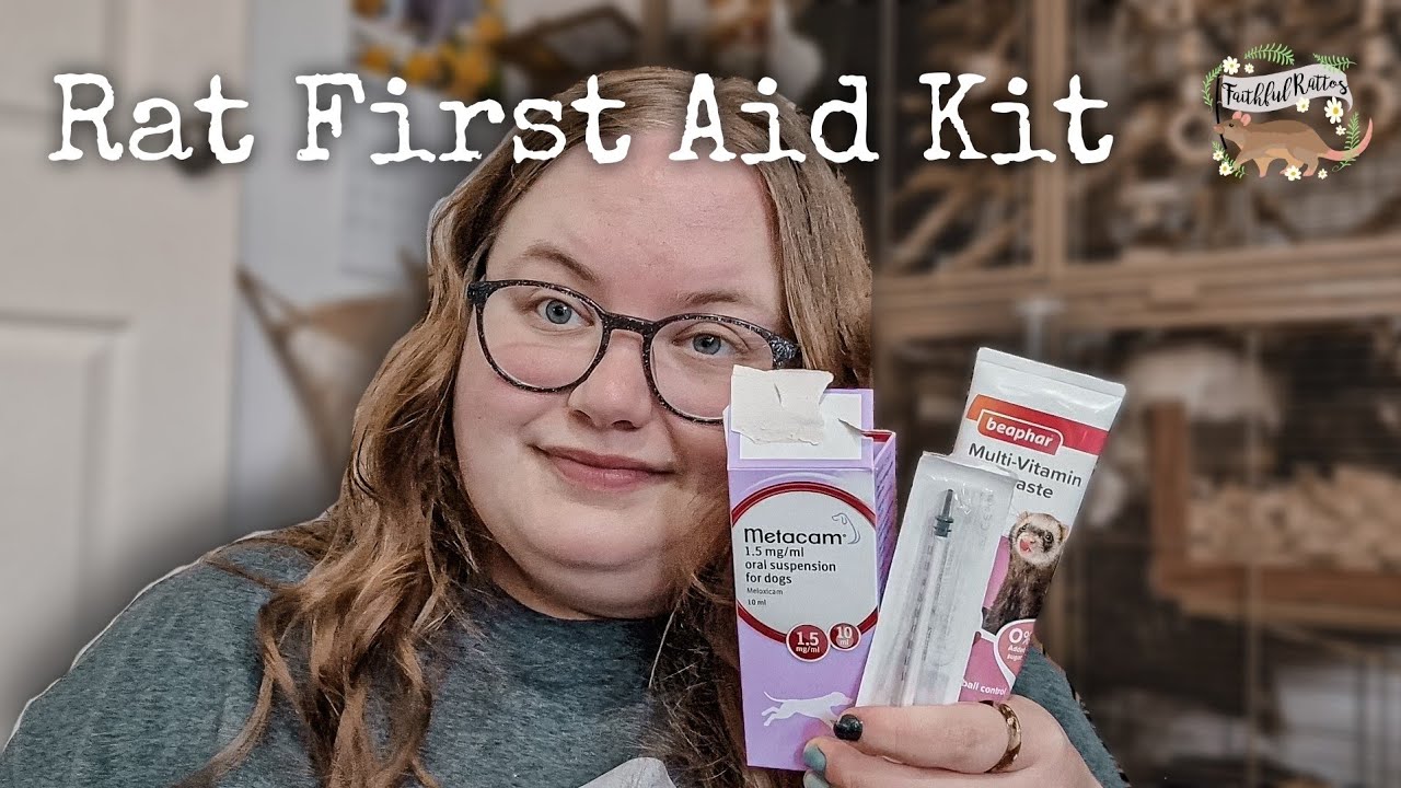 First Aid Kit for Rats🐀🏥