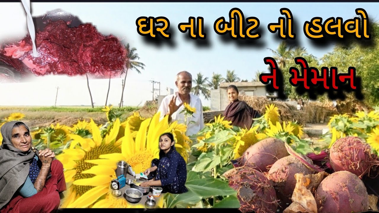 બીટ ની રેસેપિ || મેમાન || લગન માટે મહેદી || @gujrati village life vlogs