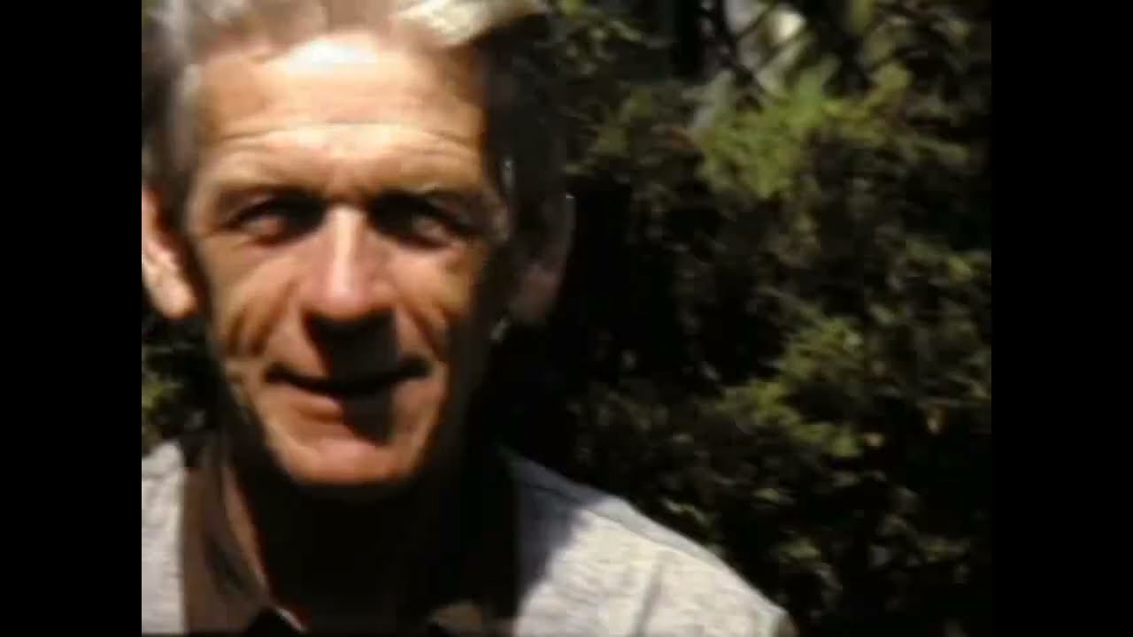 Ternaard, Doarpsfilm Ternaard 1983
