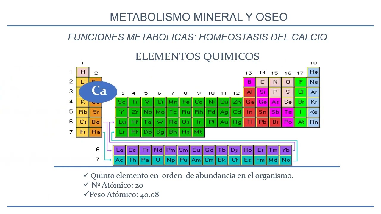 E. Seminario 4.B Metabolismo mineral y &oacute;seo. UA2. FMED. UBA
