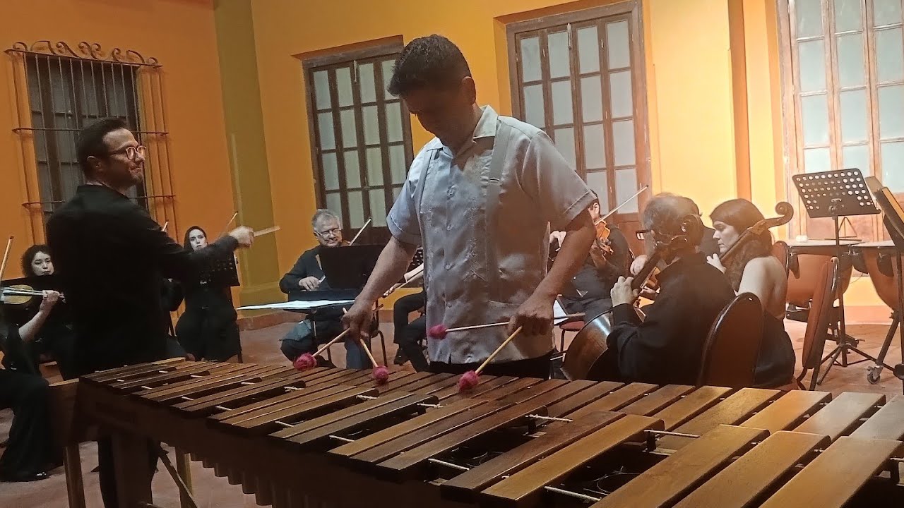 Concerto for Marimba & String Orchestra ONE WORLD / Matthias Schmitt