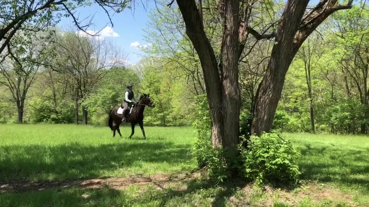 Flash’s First Day Schooling Cross Country