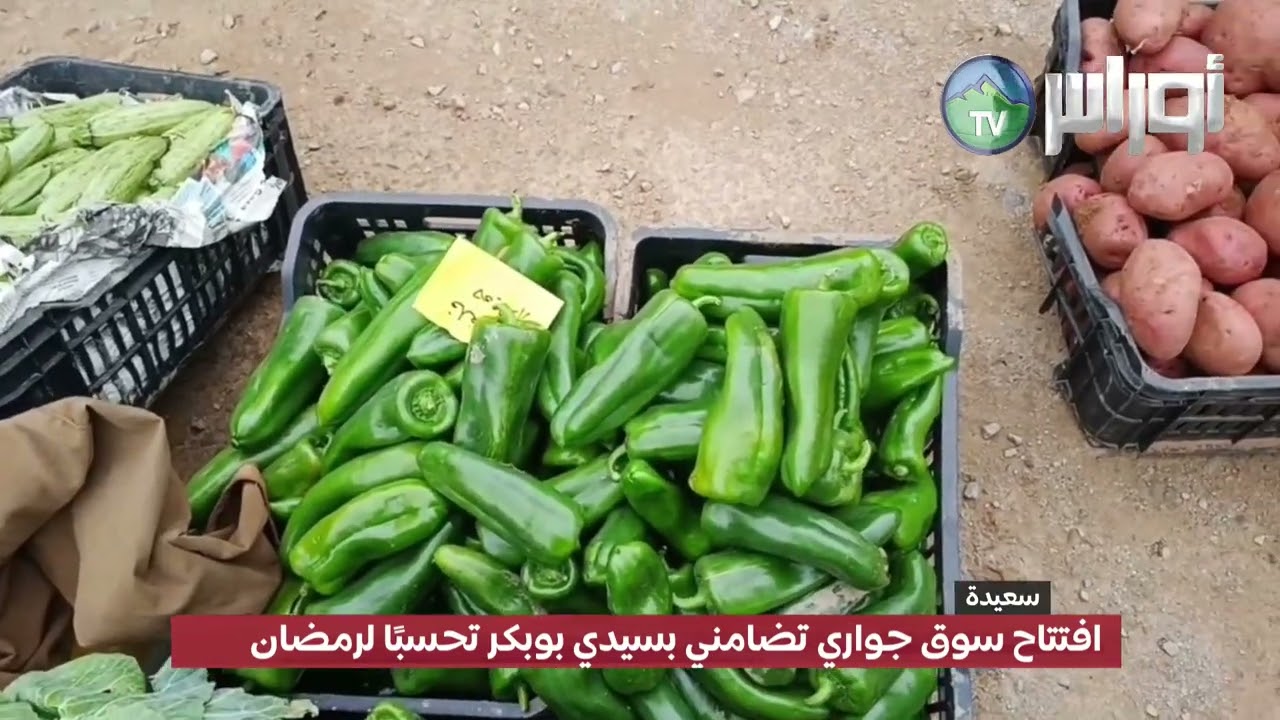 #سعيدة: افتتاح سوق جواري تضامني بسيدي بوبكر تحسبًا لرمضان