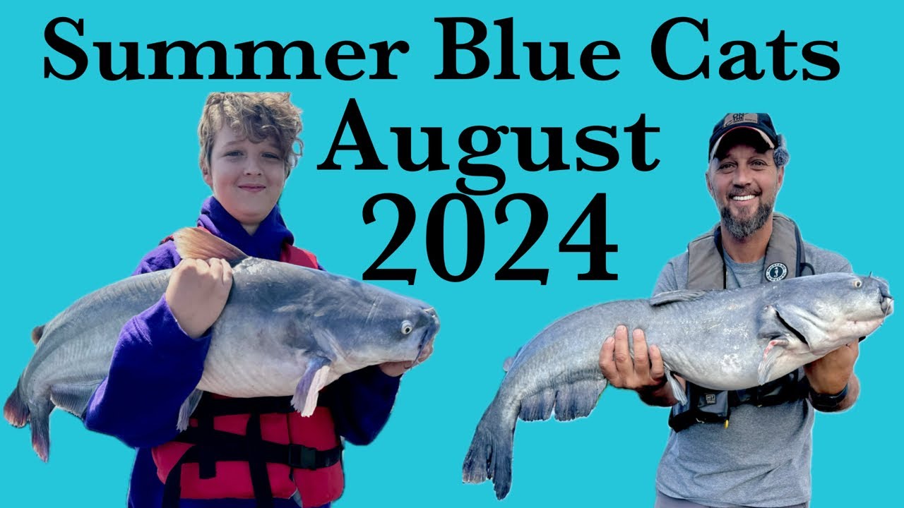 Summer Catfish with Livescope