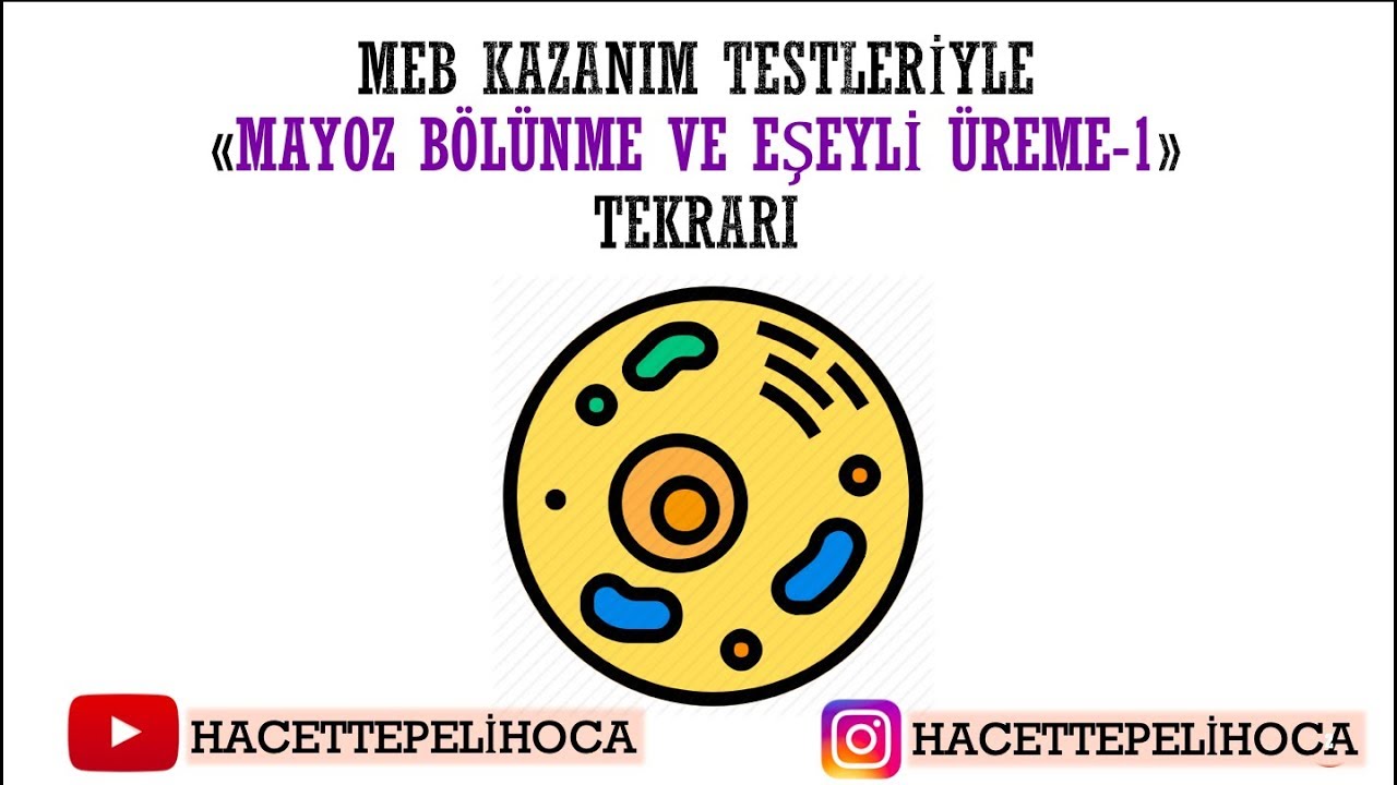 MEB KAZANIM SORULARIYLA 