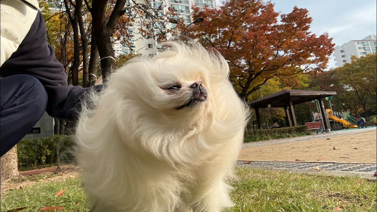 바삭한 가을 공기