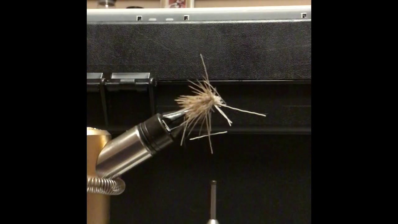 Sedge In Cervo