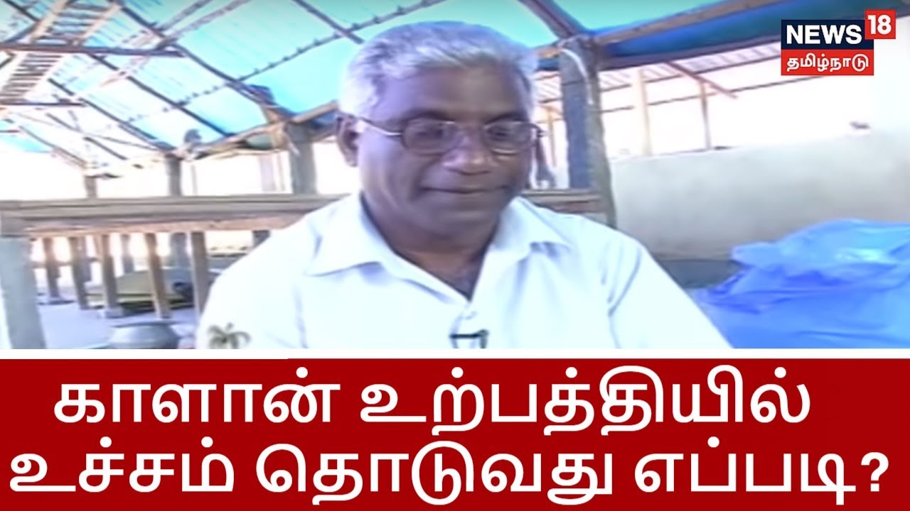 காளான் உற்பத்தியில் உச்சம் தொடுவது எப்படி? - ரகசியம் வெளியிடுகிறார் புதுச்சேரி சுந்தரமூர்த்தி