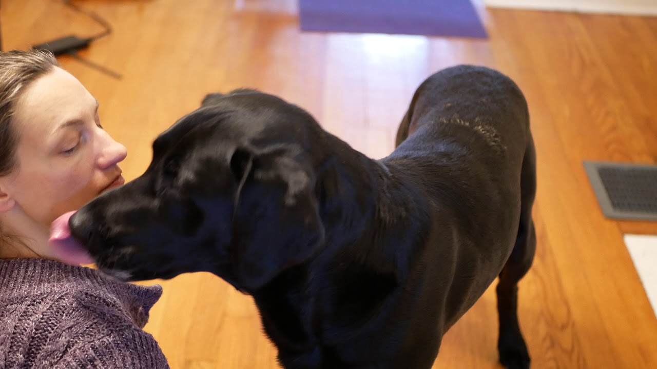 Rio - Give Kisses - Getting started