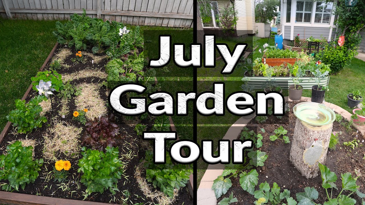 July Garden Tour 2024 (Front & Backyard Garden)