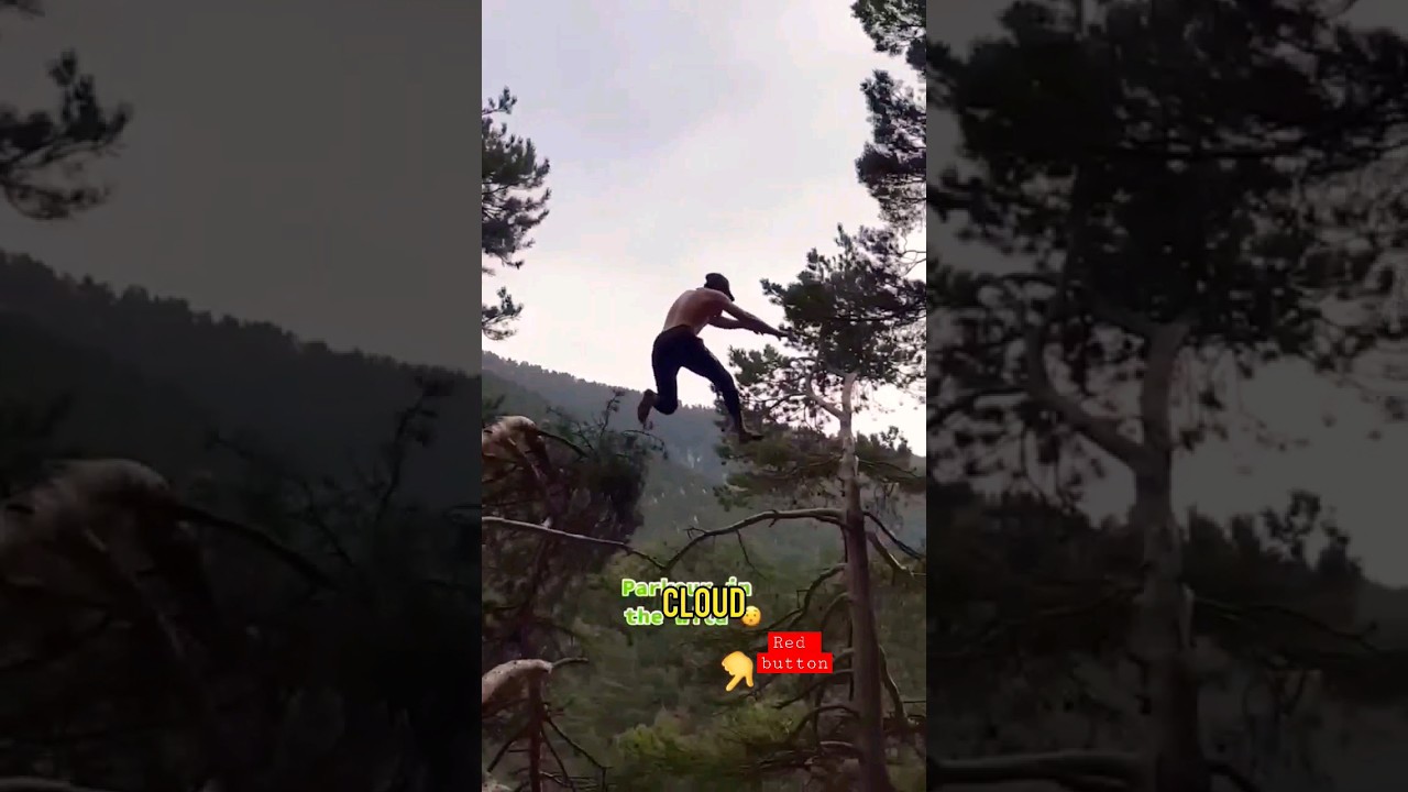 Man or Ape? #parkour #treeclimbing #monkey #rocknroll #90srock