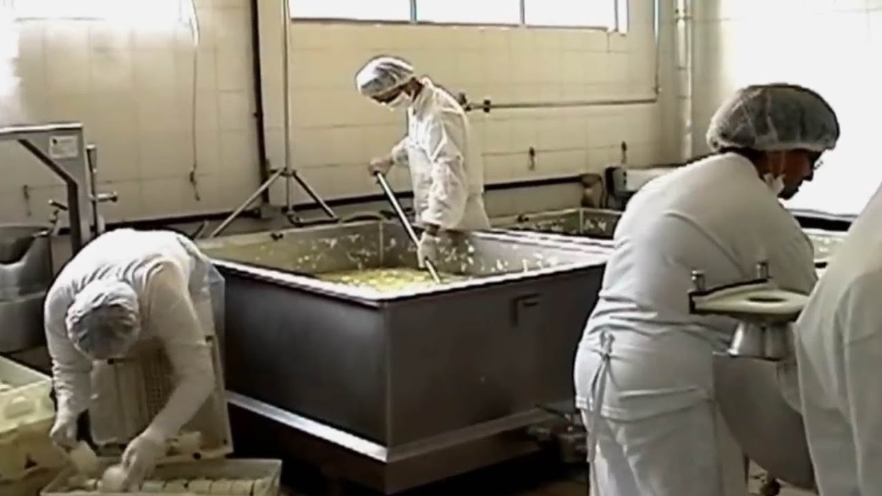 Saiba como implantar uma mini usina de leite na fazenda