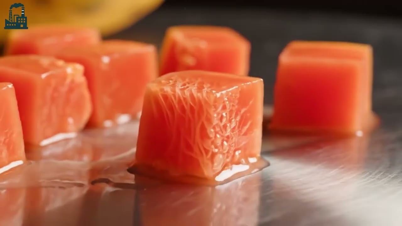 À l’intérieur d’une usine de transformation de papaye 🍍 Processus complet