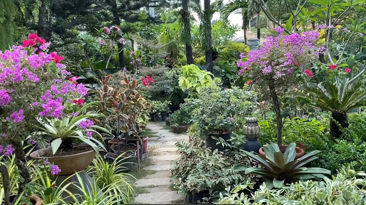 My Plantita Journey Vlog #80 || Visited the beautiful Mother Earth Garden in Silang