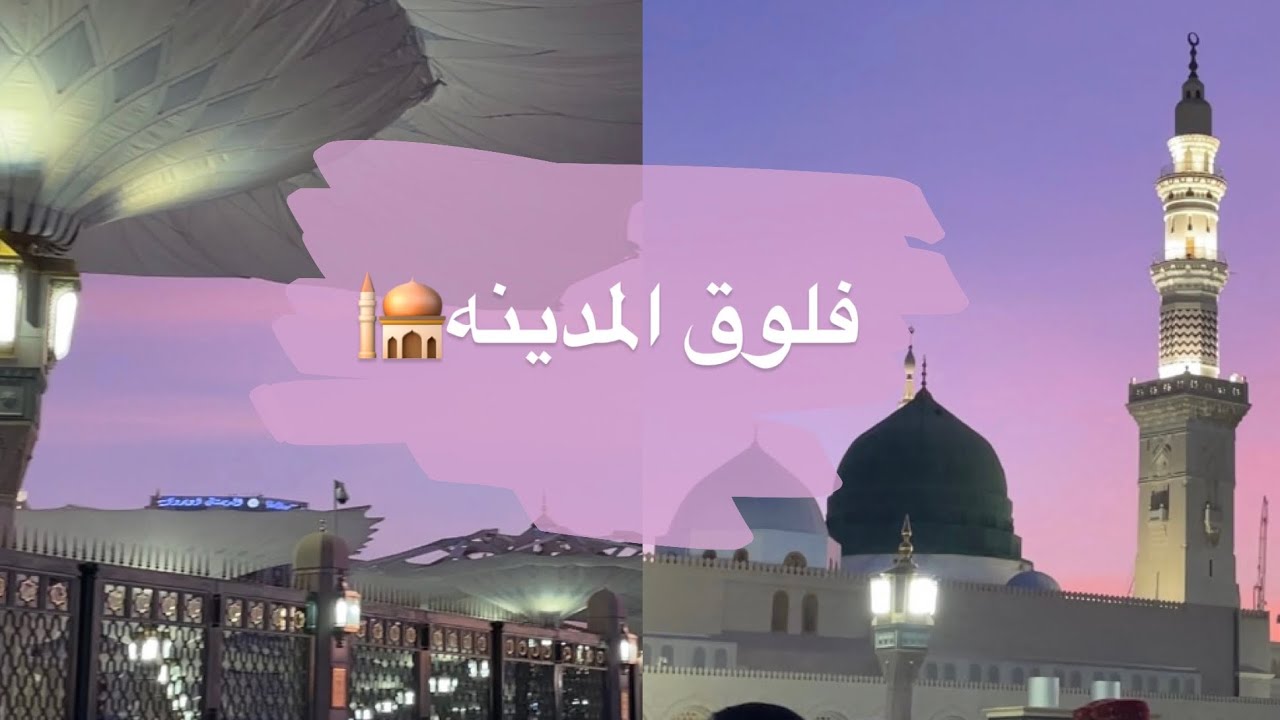 سفرة المدينه ، فلوق كامل  🩷💕