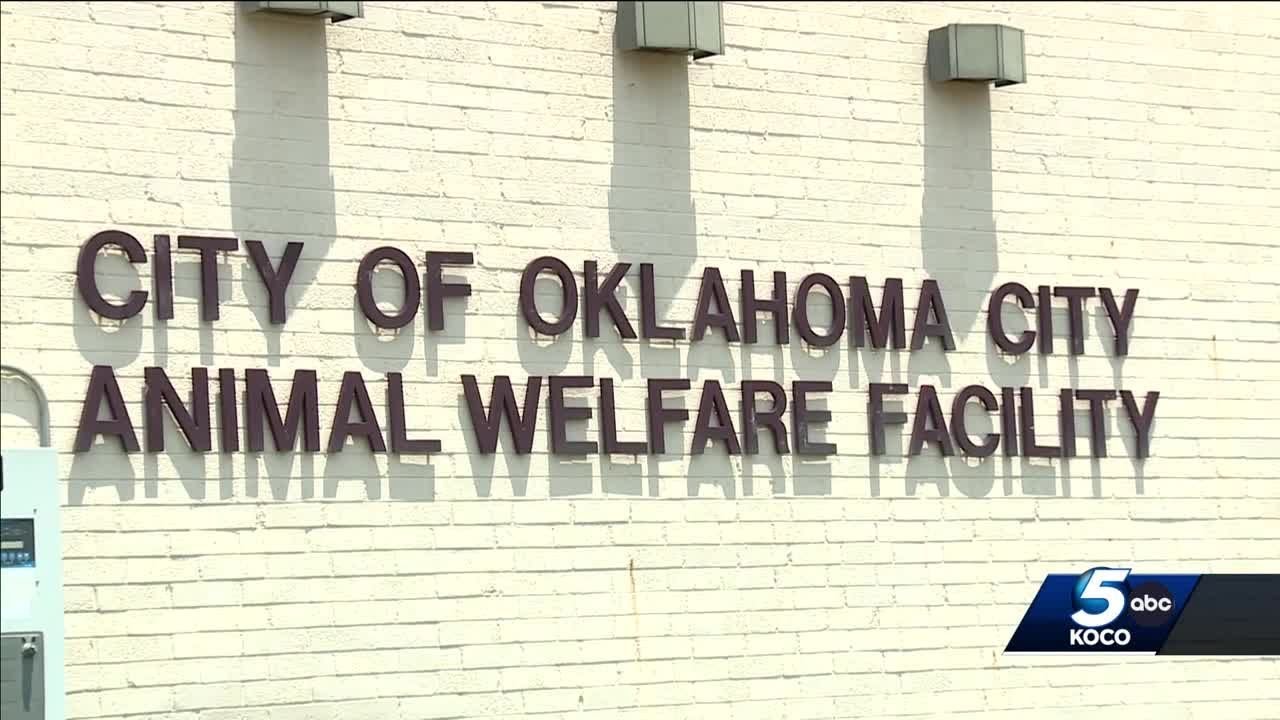 OKC Animal Welfare employee mauled by dog during shift