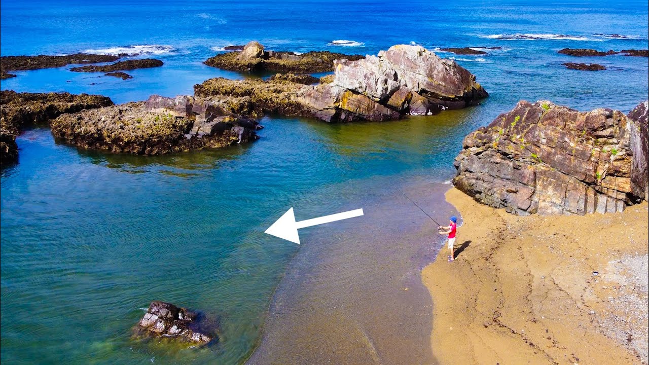 釣り旅に出たら、この浅い砂浜でまさかの大物が掛かった日