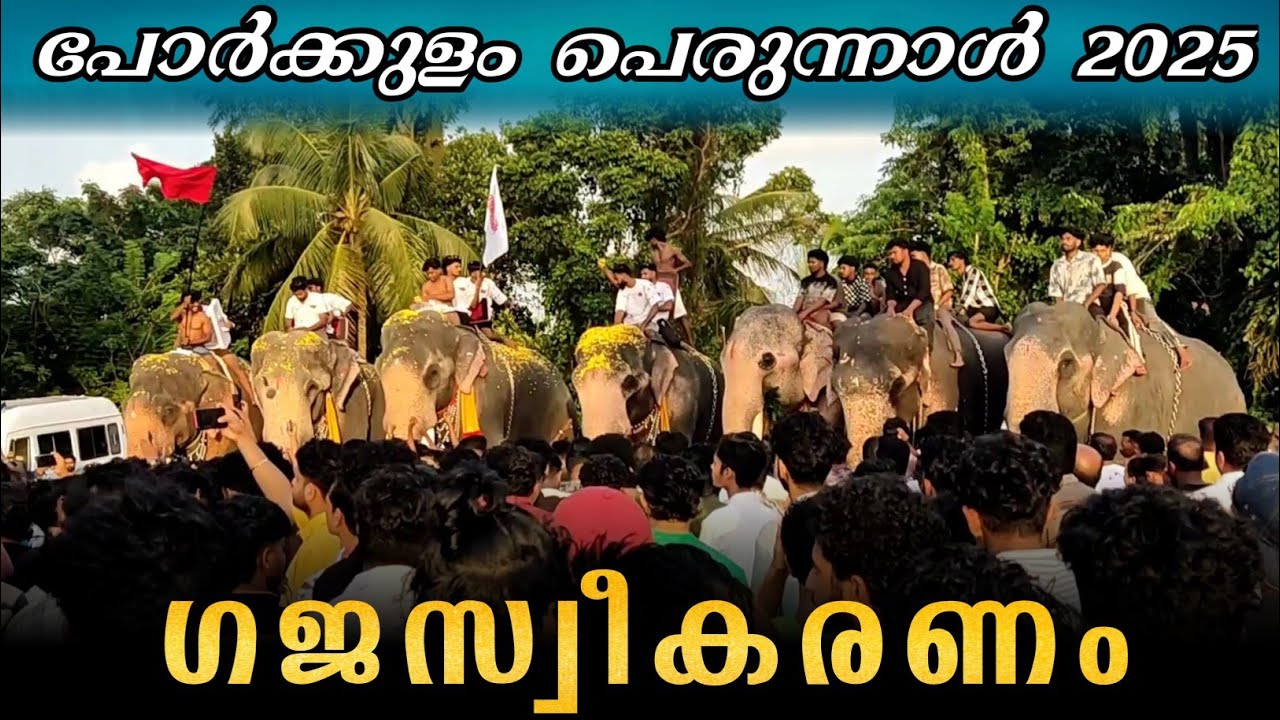പോർക്കുളം പെരുന്നാൾ ഗജസ്വീകരണം 🔥🥵 Porkulam perunnal Gajasweekaranam || porkulam perunnal 2025