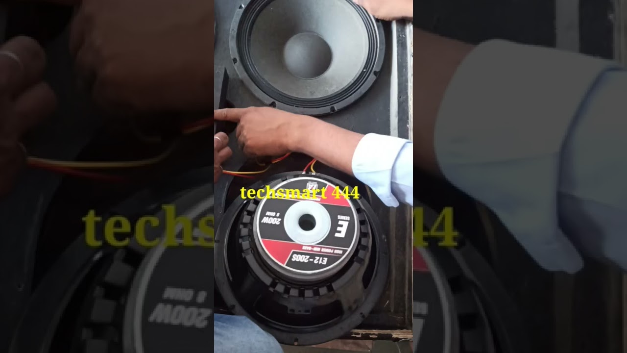paudio speaker 12" 150watt. paudio shorts.