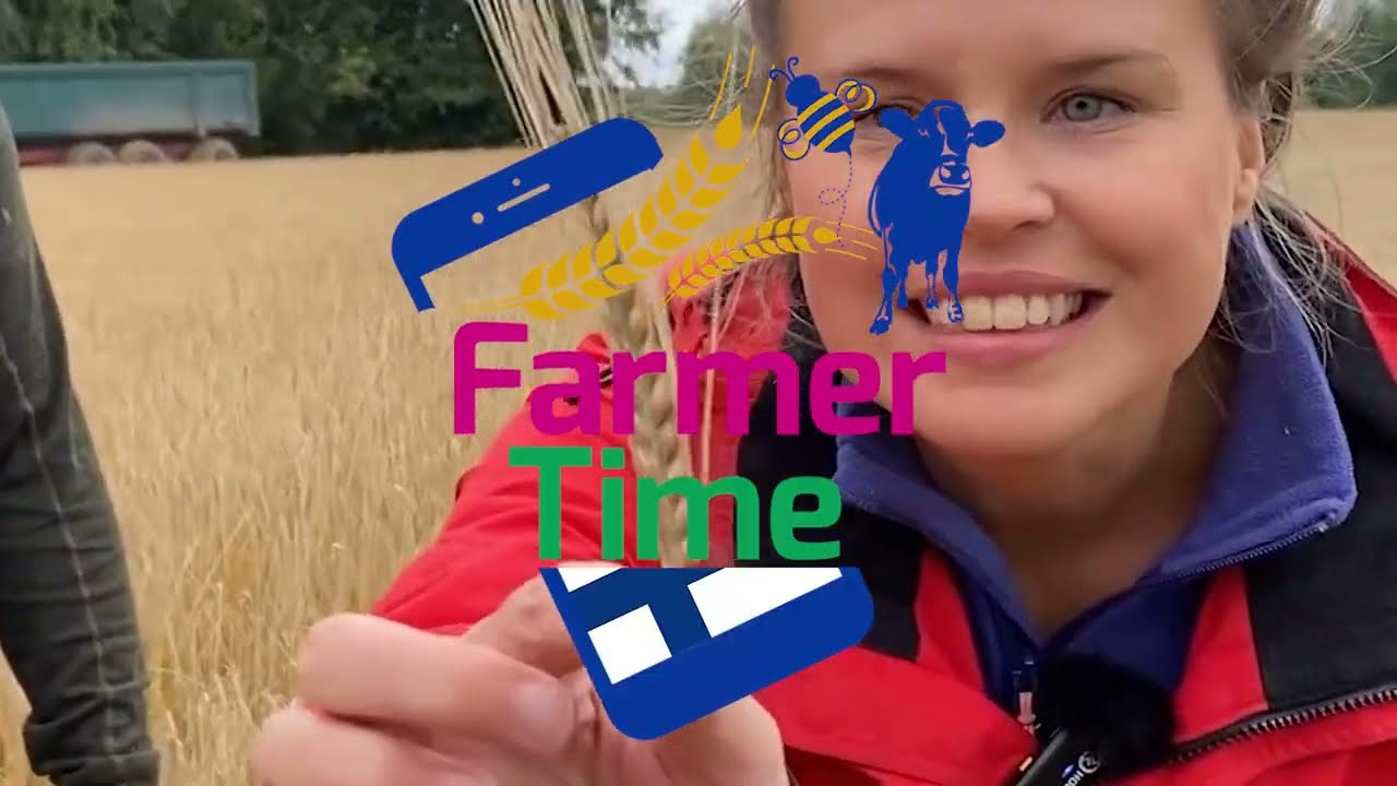 Farmer Time Finland: Klassresan 2024. Tröskning i Oravais
