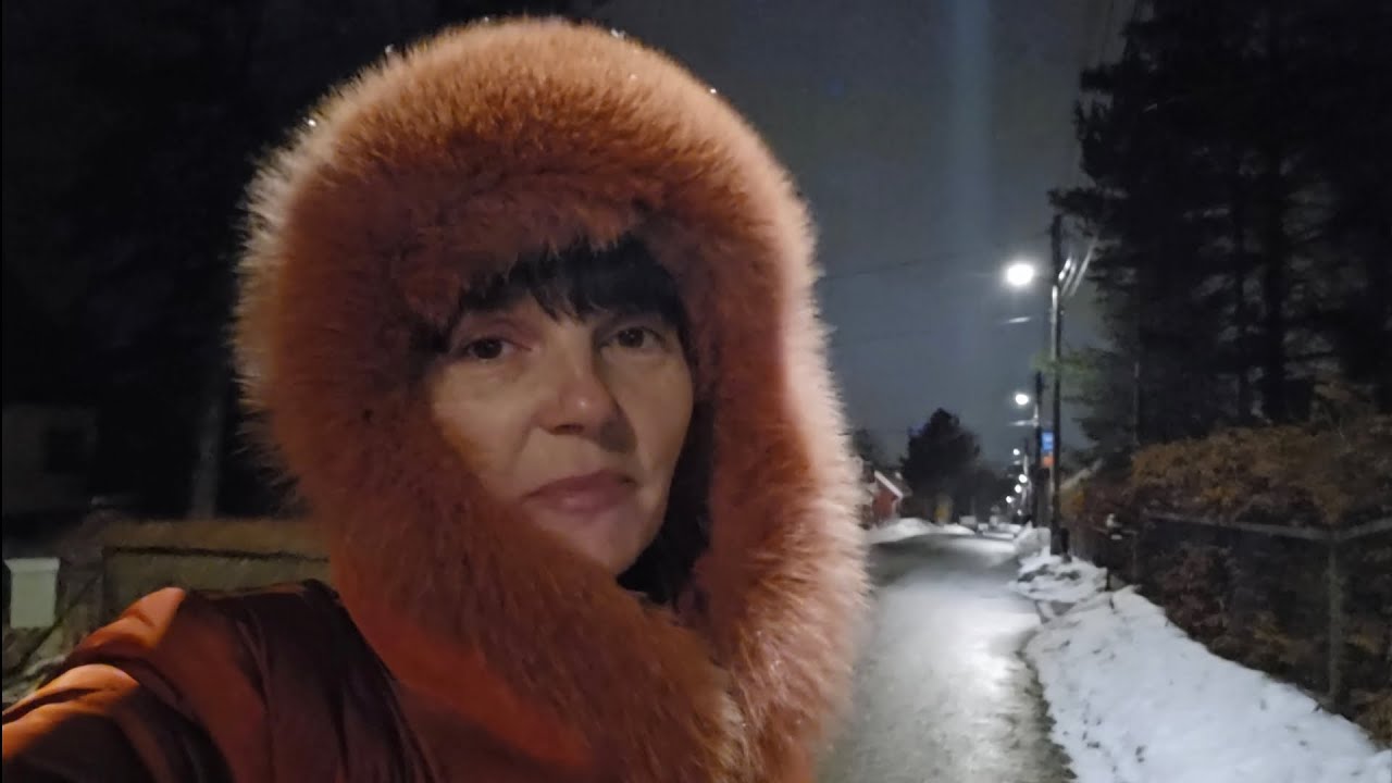 НОРВЕГИЯ. ЧТО МУЖ ПРИВЁЗ  ИЛИ ЯПОНА МАТЬ ...