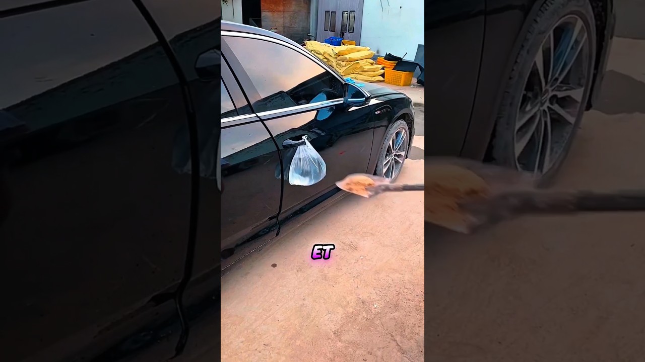 Elle salit la voiture de ses parents… mais découvre une surprise inattendue ! 🚗💦💖~
