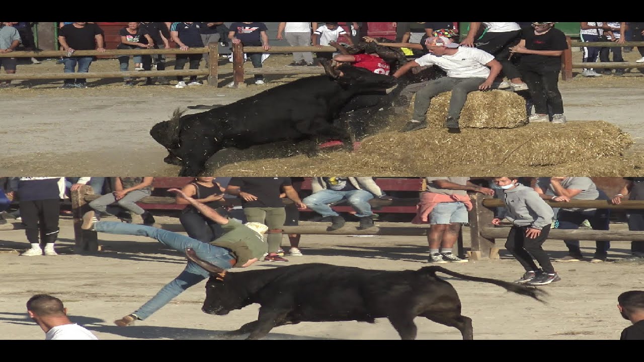 FETE VOTIVE AIGUES MORTES 2021