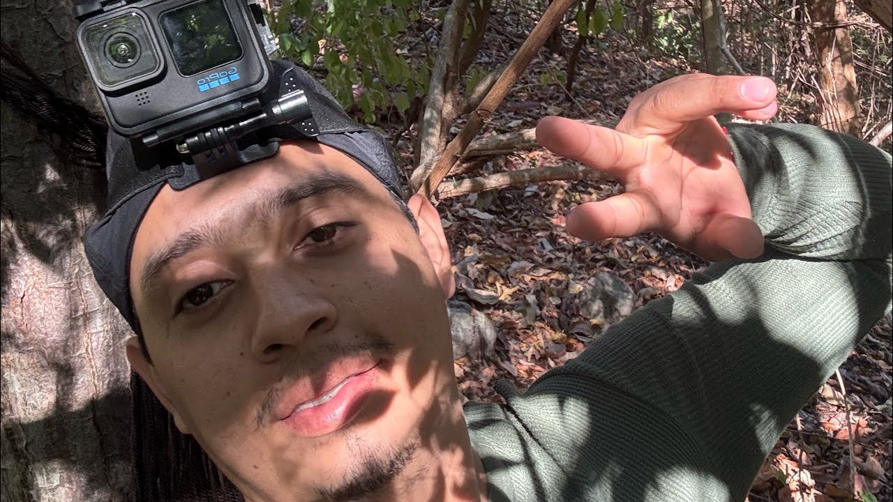 ✅Cacería de venado cola blanca (espiando) 🦌🦌⁉️