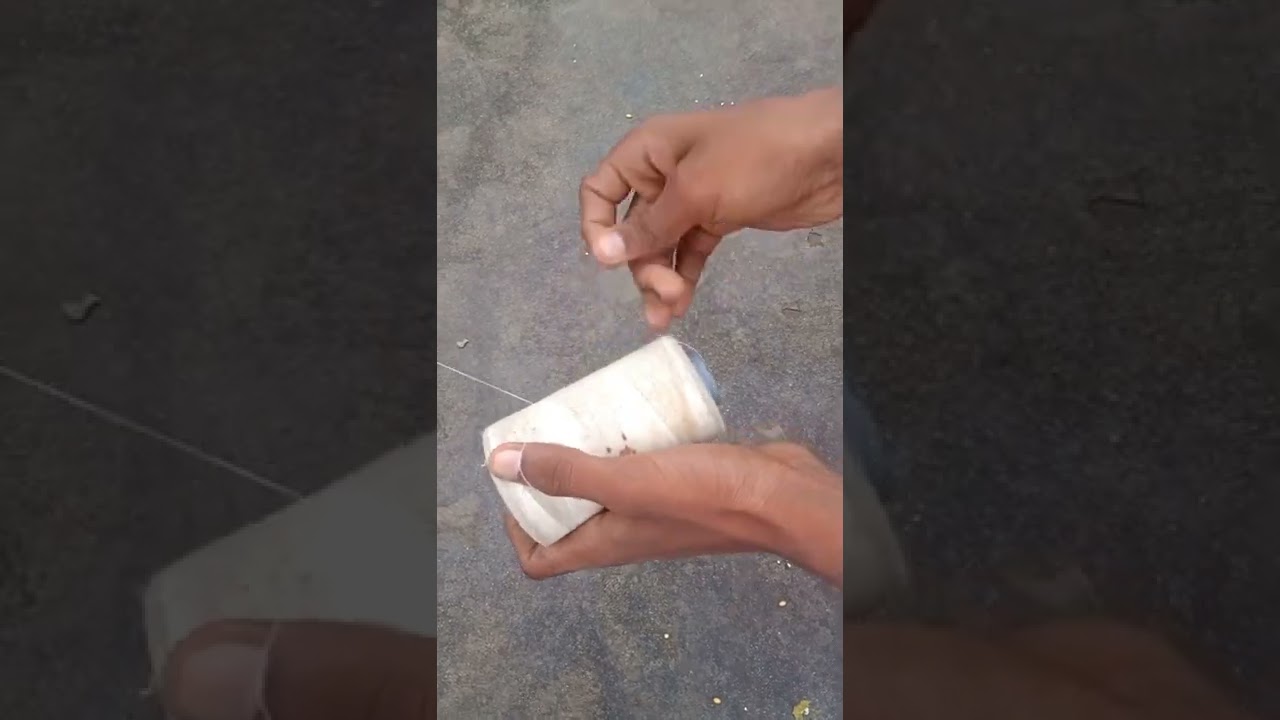 pigeon trap 😍 || kabutar all tips and tricks || its Gully Boy || #shorts #youtubeshorts  #trap